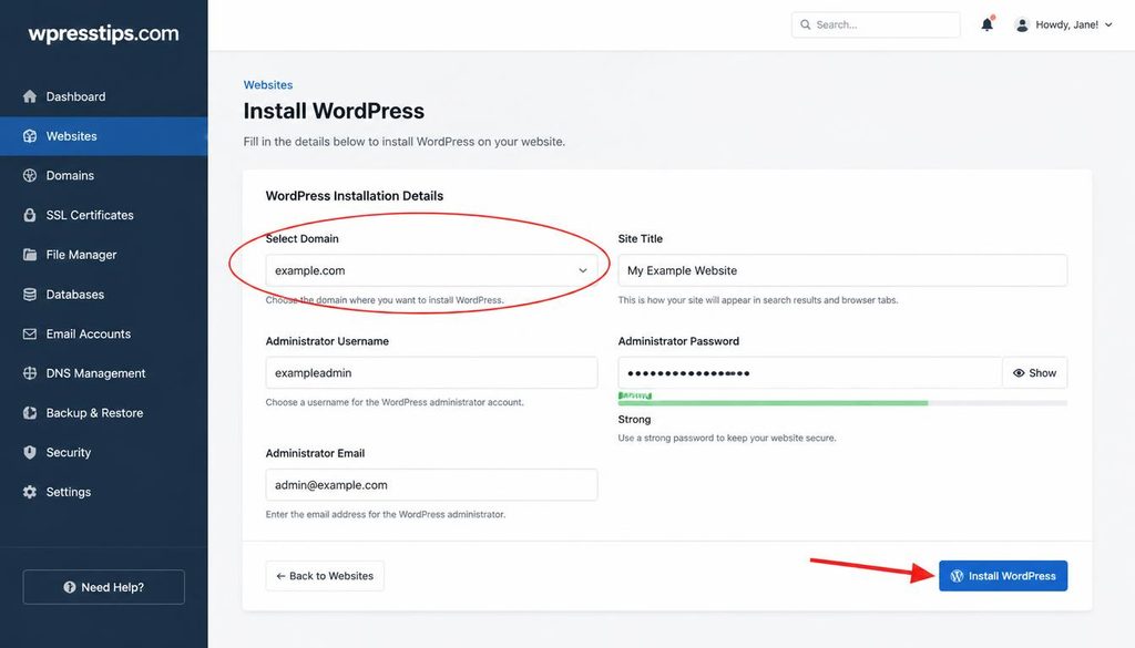 WordPress installation wizard showing the domain selection and Install WordPress button