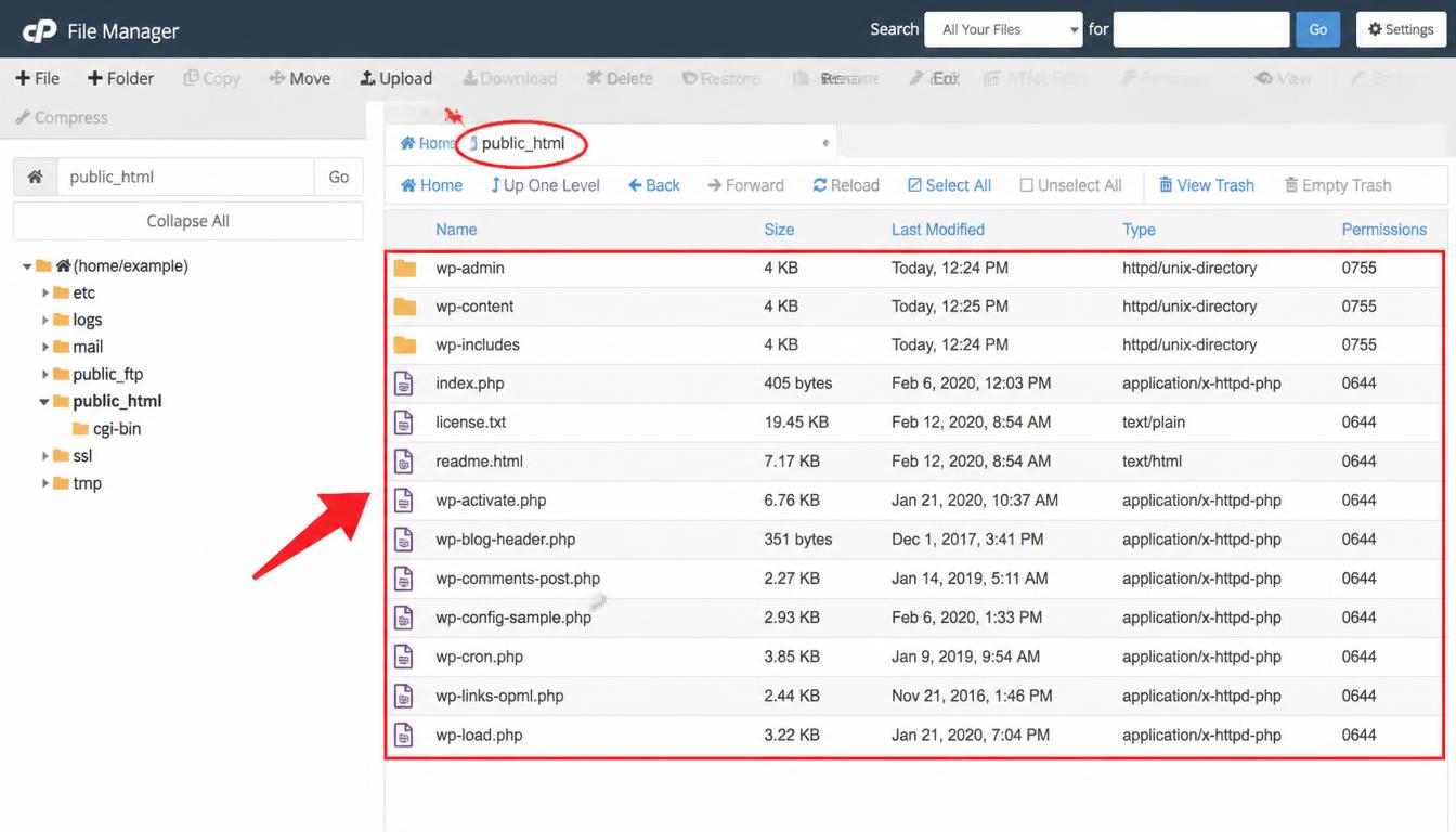 Hosting File Manager showing WordPress core files in the correct website document root.