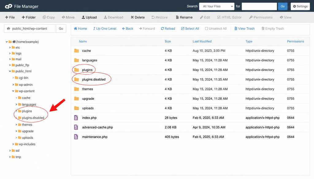 WordPress plugin conflict troubleshooting by temporarily renaming the plugins folder in the hosting file manager.