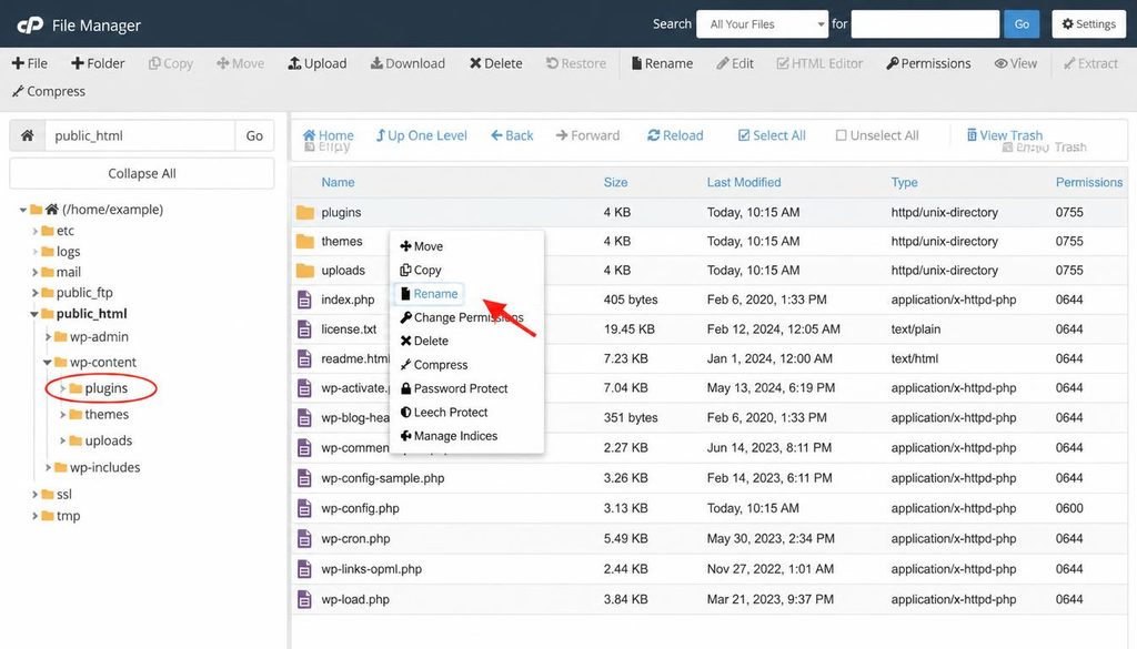 WordPress login problems troubleshooting by temporarily renaming the plugins folder in the hosting file manager.